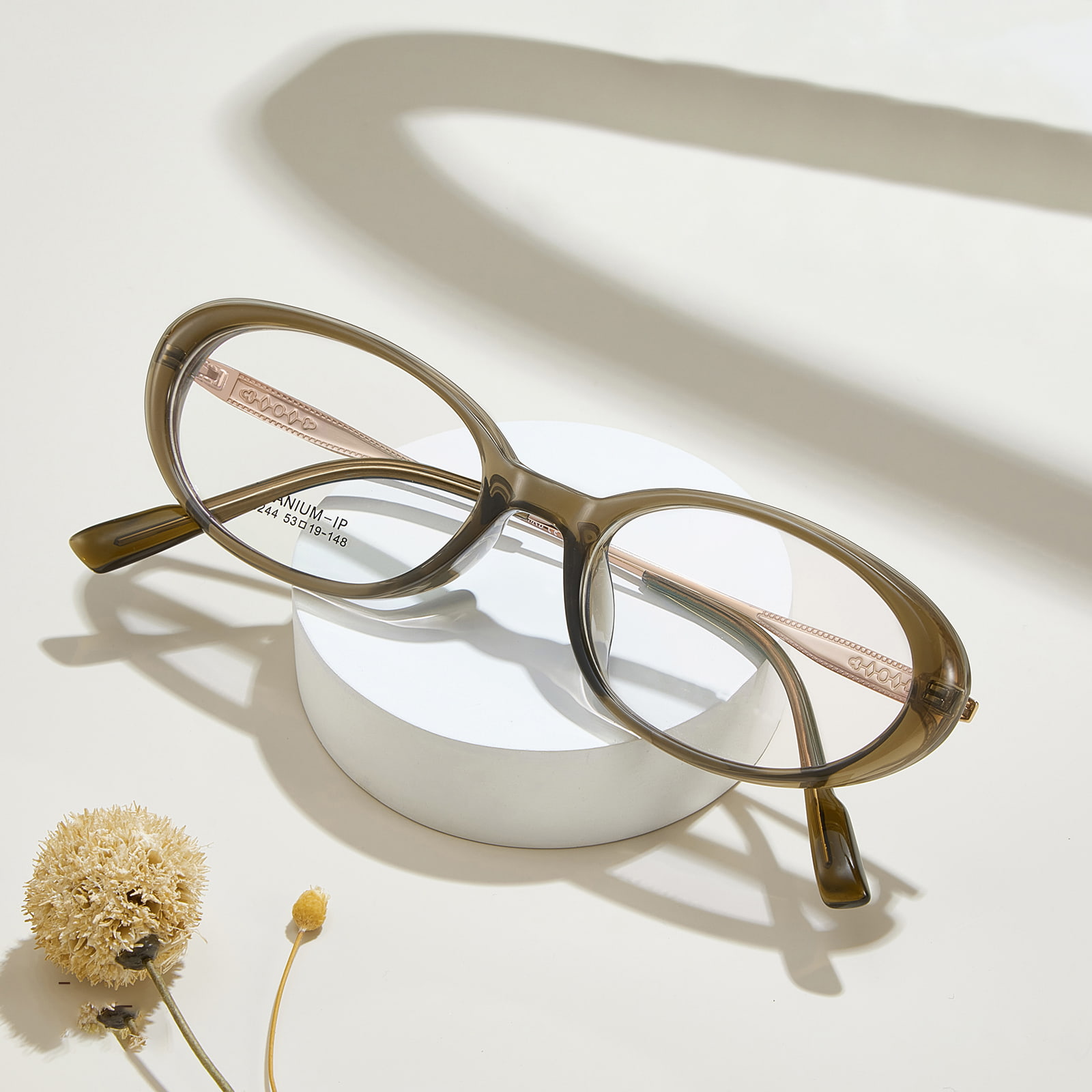 M8244 Gafas ovaladas de titanio β resistentes a la corrosión y con montura ancha